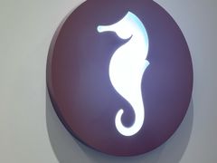 -海马体大师店(广州天汇广场IGC大师店)