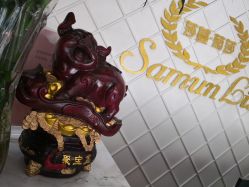 大堂-莎蔓莉莎美容会所