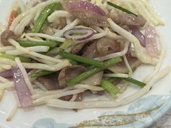 小炒菊花心-姚林轩