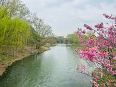 -梁鸿国家湿地公园
