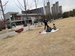 -四里河滨水生态公园