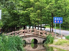 -白水寺森林公园
