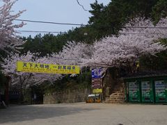-海东龙宫寺