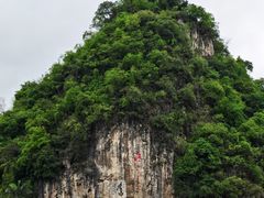 -柳州市动物园