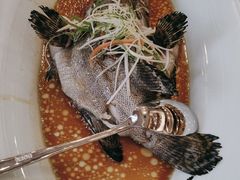 -顺峰(阜成店)