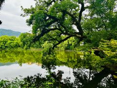 -台州府城(东湖)