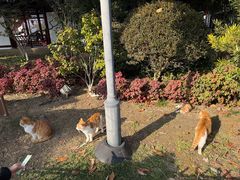 -常熟方塔园
