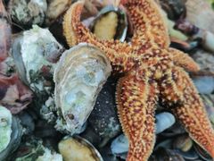 -永红源啤酒·烧烤·海鲜·大排档(青特城店)