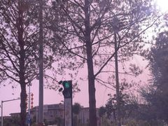-敦煌市博物馆