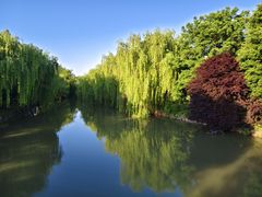 -上海月湖雕塑公园