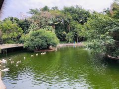 -深圳野生动物园