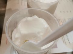 -洪馨椰子
