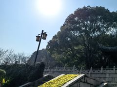 -苏州上方山国家森林公园