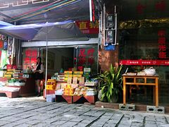 -长寿村