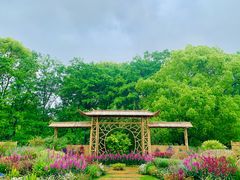 -上海共青森林公园