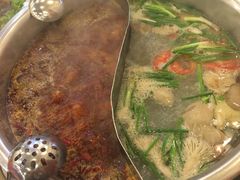鸳鸯锅-朱氏胖子烂火锅(洪崖洞店)