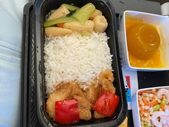 -新加坡航空公司(ION)