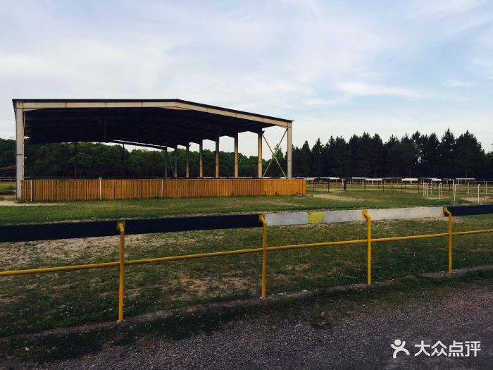 骏马园骑马场-图片-上海运动健身-大众点评网