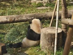 -杭州动物园