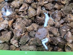 -和源祥·日照菜扛把子(万平口一店)