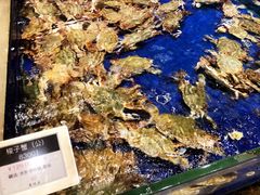 -高佳庄·舟山海鲜(海景旗舰店)