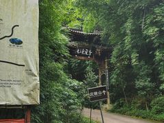 -芦沟竹海