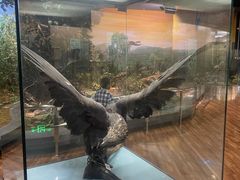 -陕西自然博物馆