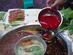 -枇杷园食为鲜火锅(南山店)