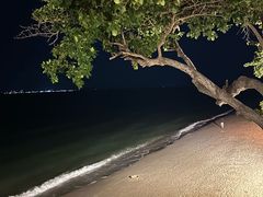 -卷心菜和避孕套餐厅(Pattaya)
