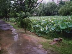 -武汉交通职业学院