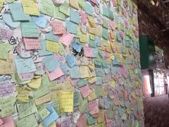 -九华山友谊土菜馆 小资餐厅