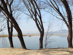 -野鸭湖国家湿地公园