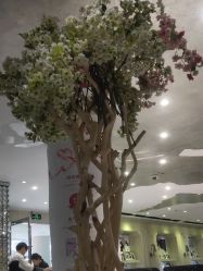 点击看大图 -今生有约国际精品婚纱摄影(苏州店)