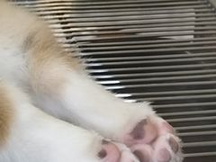 -星巴克臻选(莘庄仲盛店)