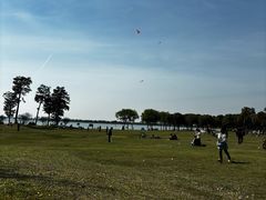-漕湖湿地公园