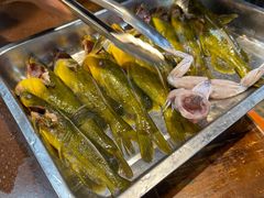 -青山青豆花·笑禅豆腐鱼(黄泥塝店)