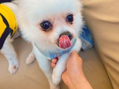 -怪兽屋·羊驼·猫咖·狗咖(俊华广场店)