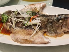 -大铁勺新津菜(熙悦汇店)
