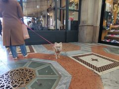 -埃马努埃莱二世拱廊