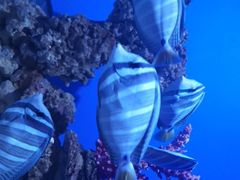 -海合安青岛极地海洋公园