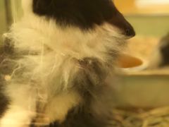 -龙猫仔乐园(惠福东路店)