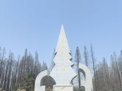 -水杉园