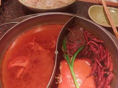 -宽巷子成都火锅(南站店)
