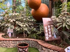 -呀路古热带植物园