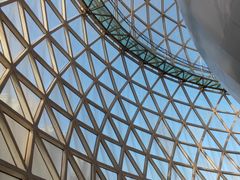 -陕西自然博物馆