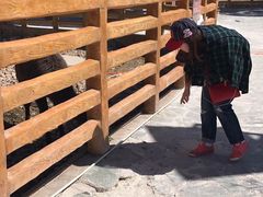 -鄂尔多斯野生动物园