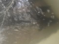 -草墩罗非鱼庄•野生菌•腊排骨(七星街上段店)