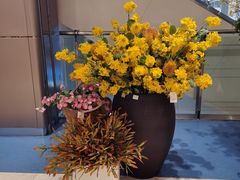 -松雷商业(南岗店)