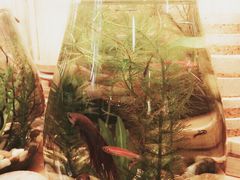 妃比花艺-妃比花艺(光启城时尚购物中心店)