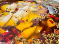 水煮鱼-红菜坊·烤鸭·川鲁菜·老二中店